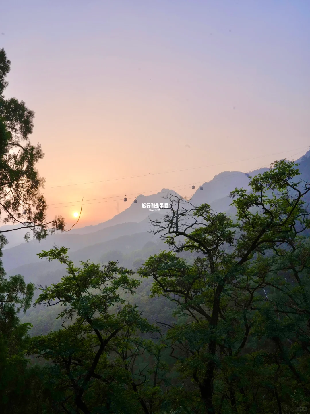 真的搞不懂为什么泰安 只有泰山火