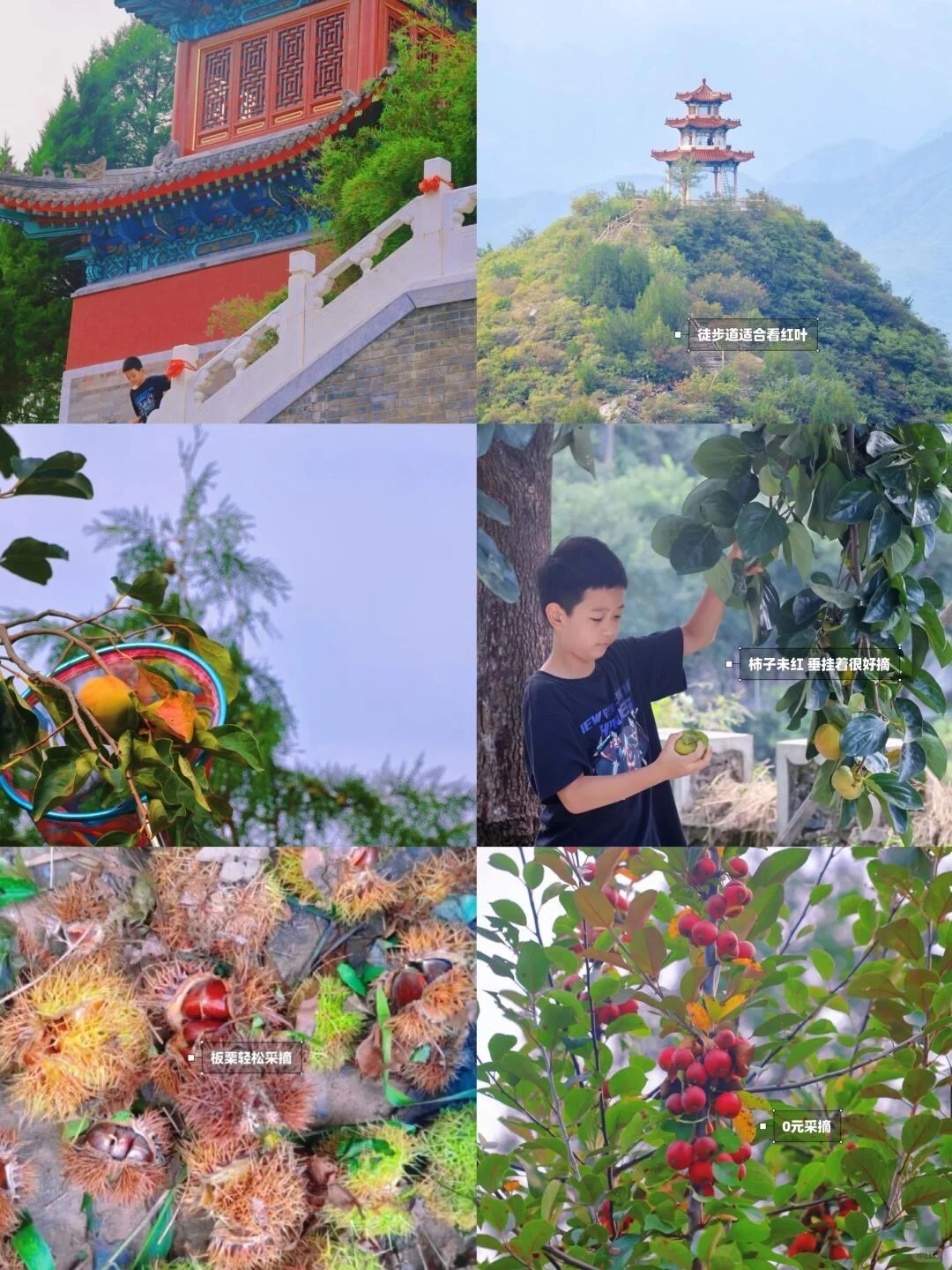 10.19北京🍁已达顶流7️⃣个遛娃赏秋地可冲啦