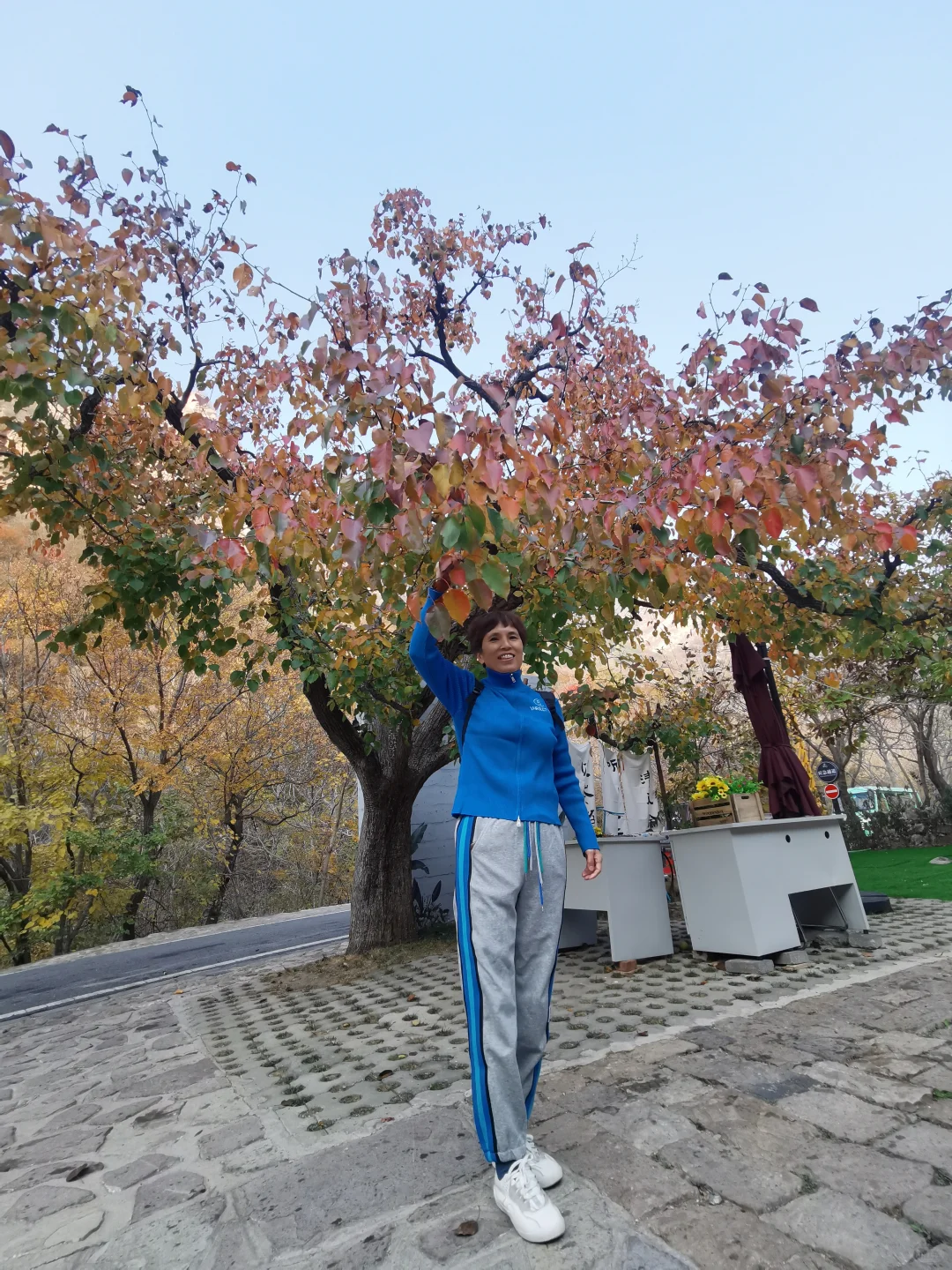 天然大氧吧~梨木台,亲子遛娃好去处