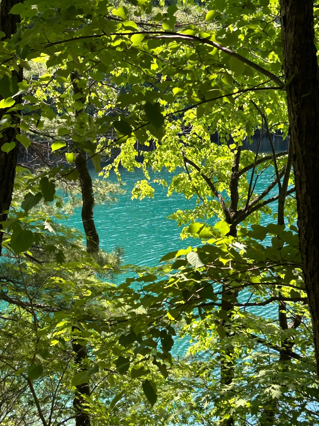长春周边游~梅河口,龙湾景区