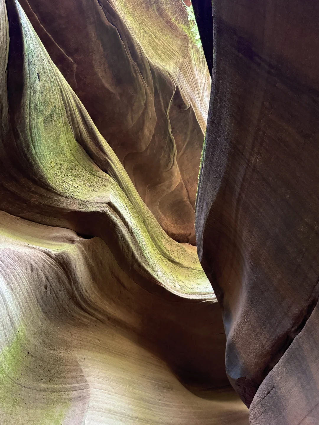 陕西·近期去过最美景区💚