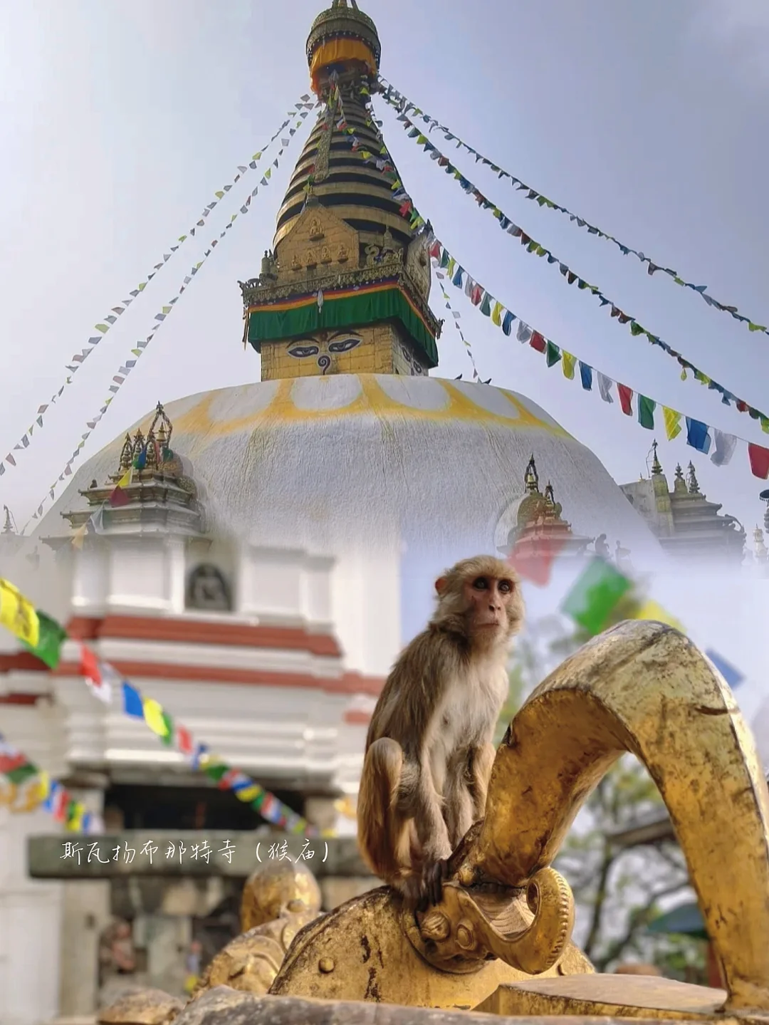 别只念西藏,到尼泊尔的秋冬天里走走