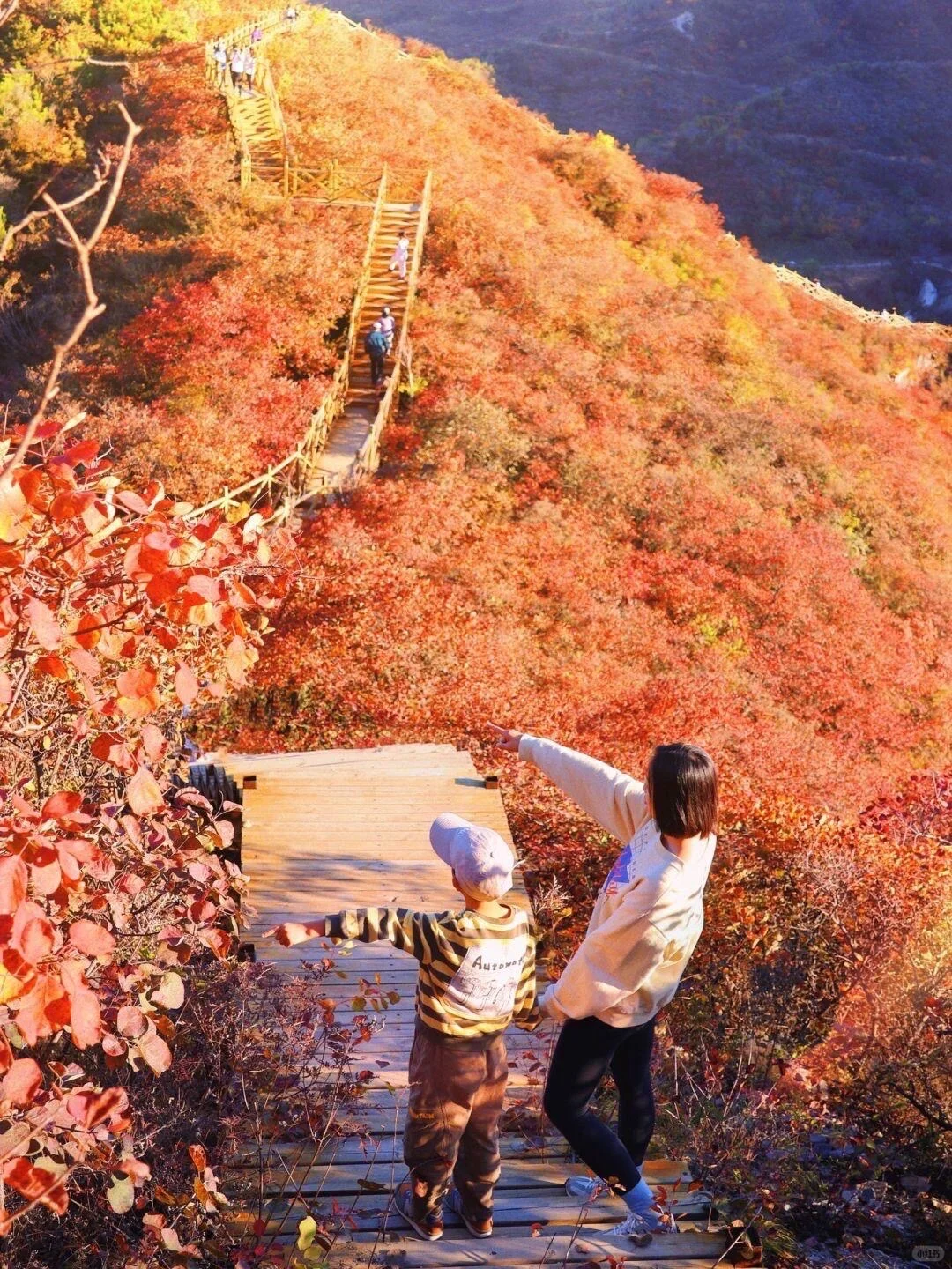10.19北京🍁已达顶流7️⃣个遛娃赏秋地可冲啦