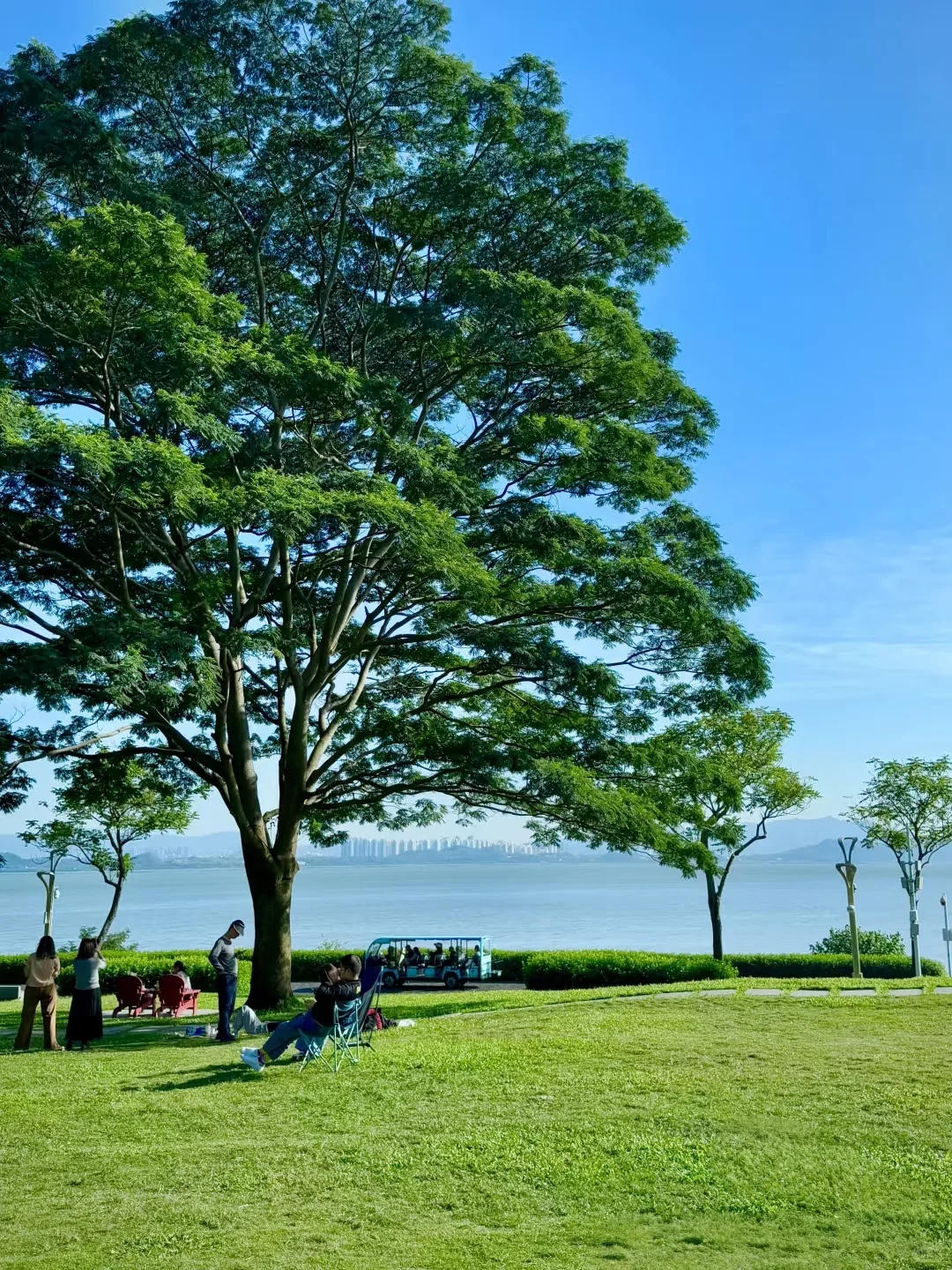 深圳必玩景点-福田红树林景区!