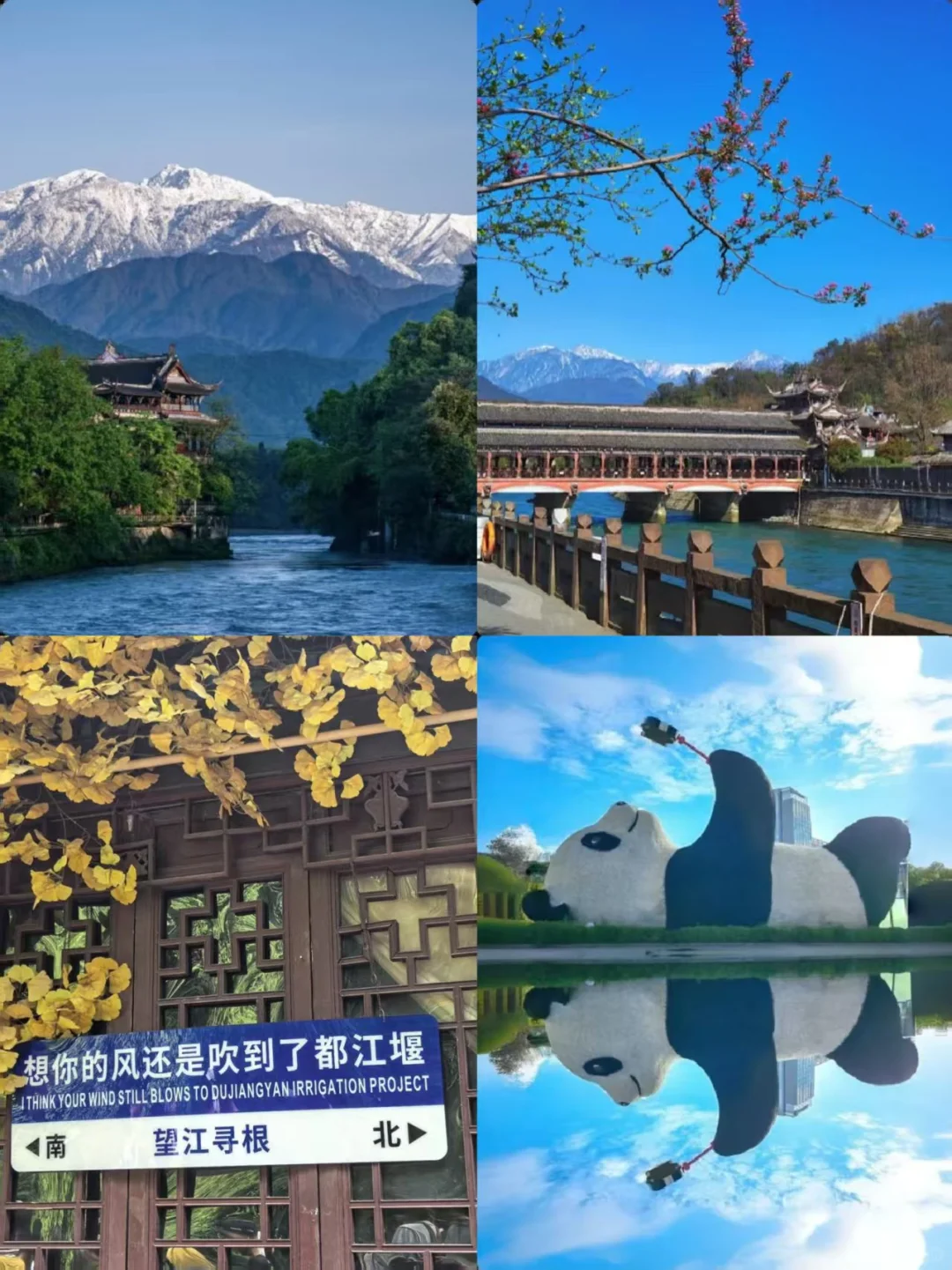 都江堰必吃榜|除了火锅还有其他美食