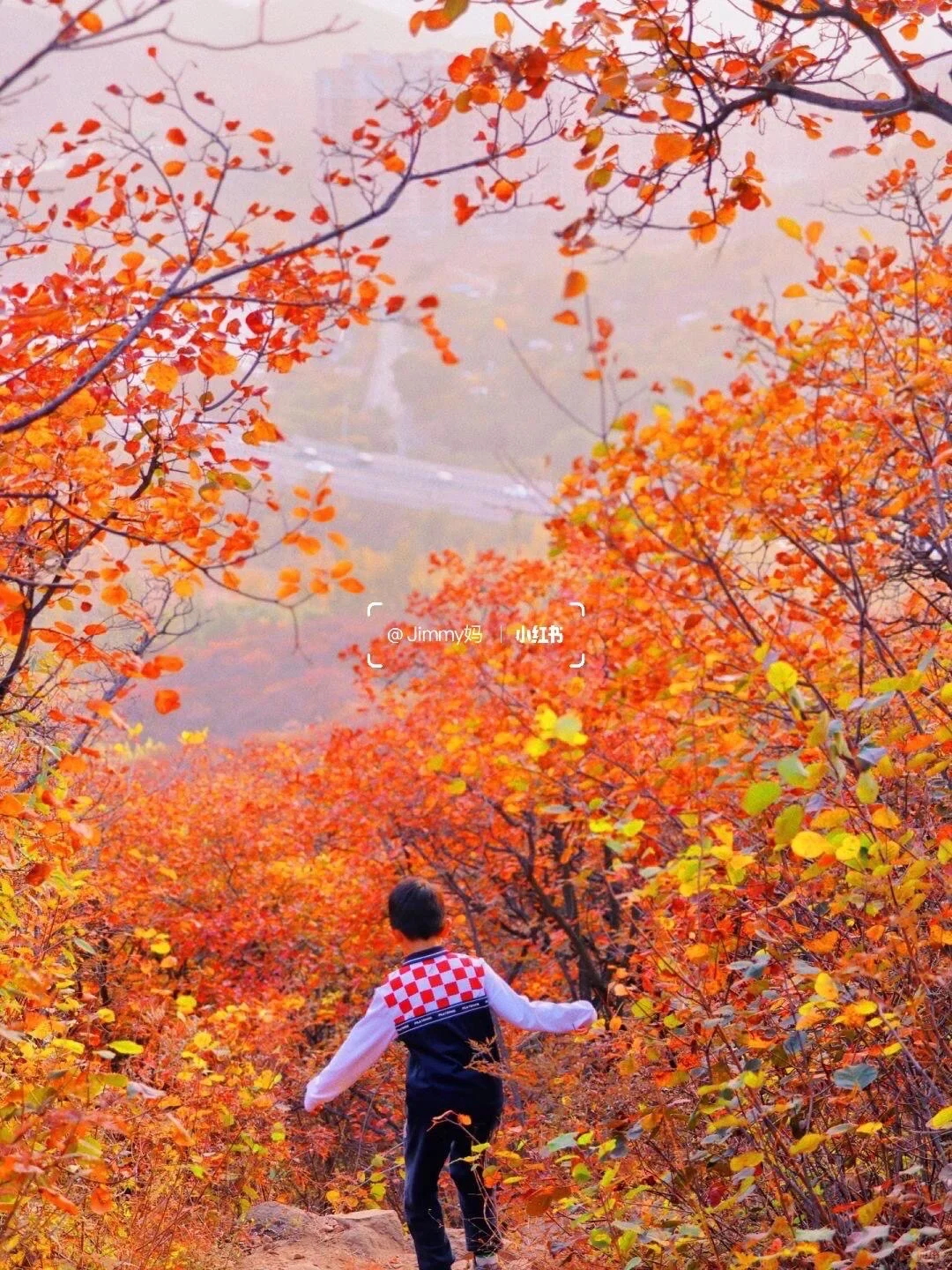 10.19北京🍁已达顶流7️⃣个遛娃赏秋地可冲啦