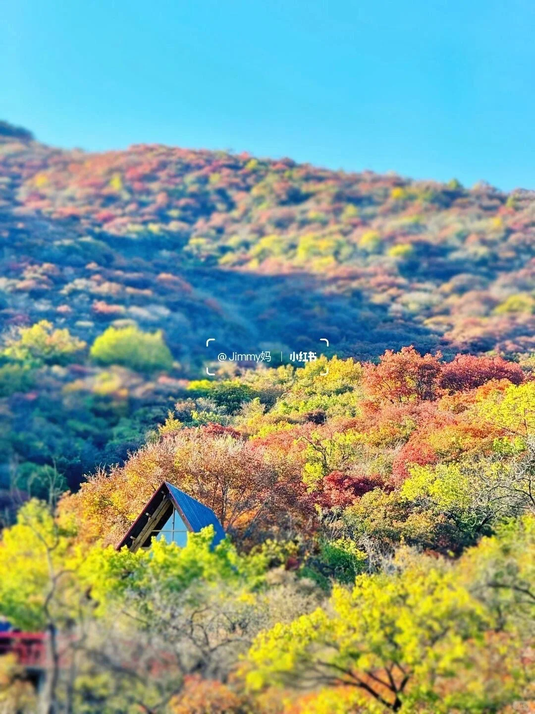 10.19北京🍁已达顶流7️⃣个遛娃赏秋地可冲啦