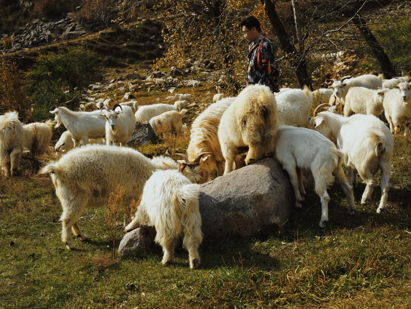 10.5 红石崖+九龙湾 不堵车赏秋🍂