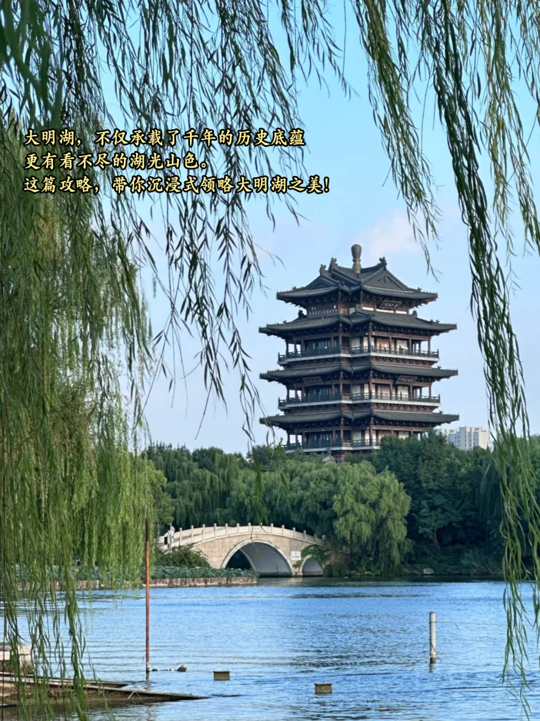 哇哇❗❗大明湖你真的是什么都有(攻略版)