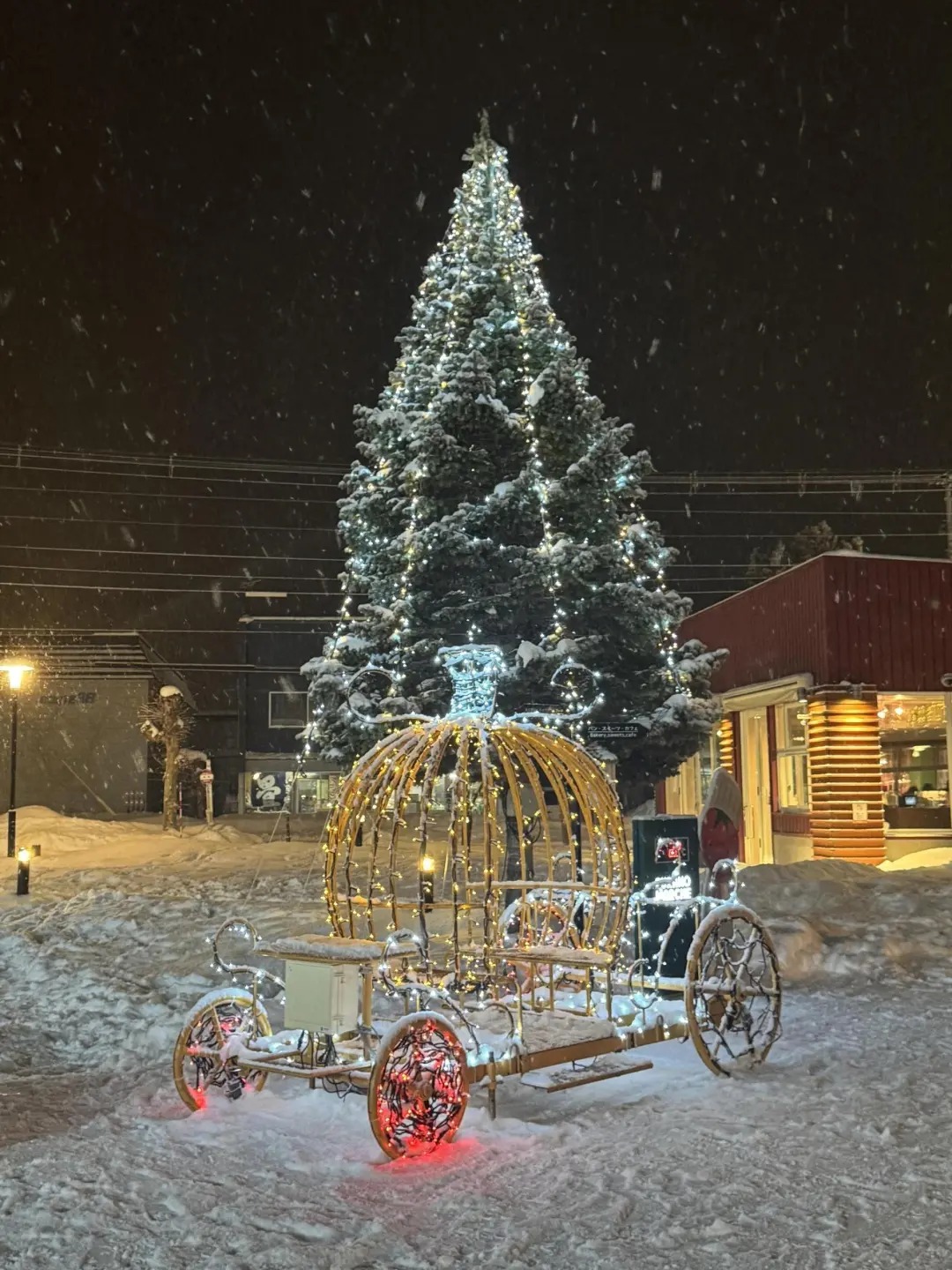 北海道冬季超全景点打卡攻略|冰雪童话必看