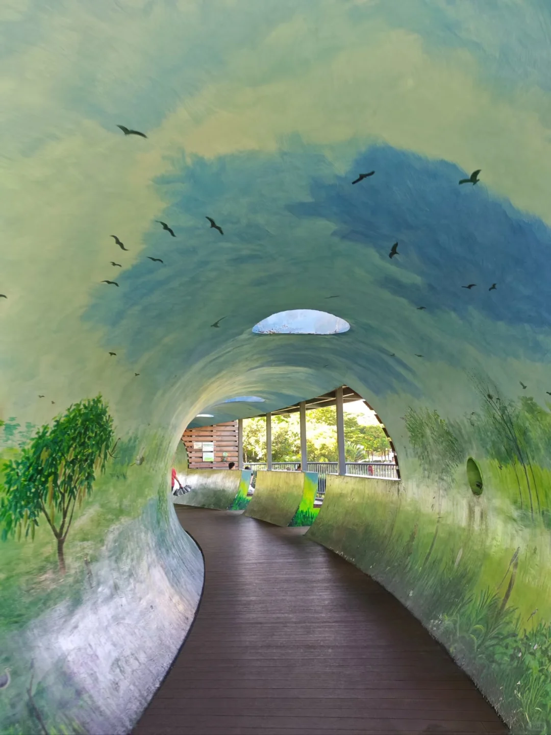 深圳必玩景点-福田红树林景区!