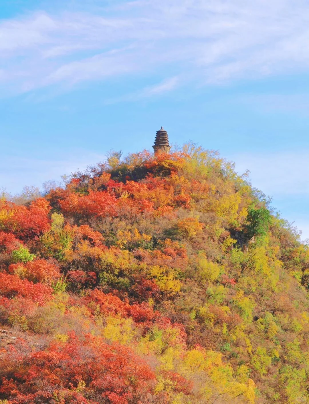 10.19北京🍁已达顶流7️⃣个遛娃赏秋地可冲啦