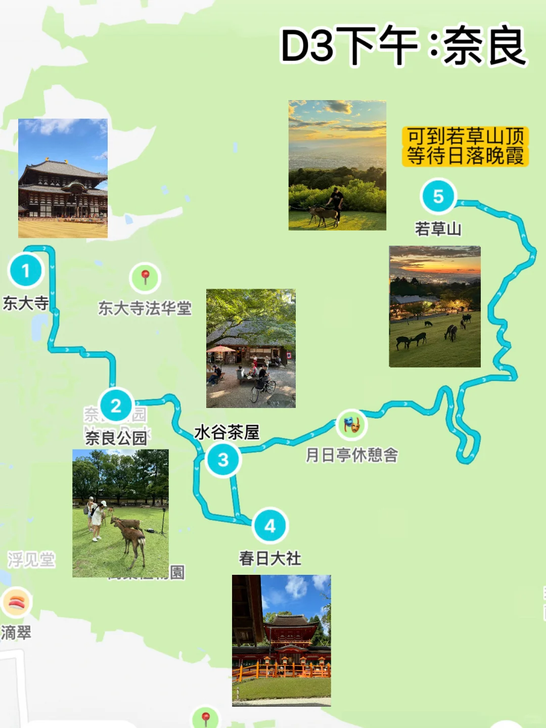 第一次去日本旅行,有这篇超全攻略就够了!
