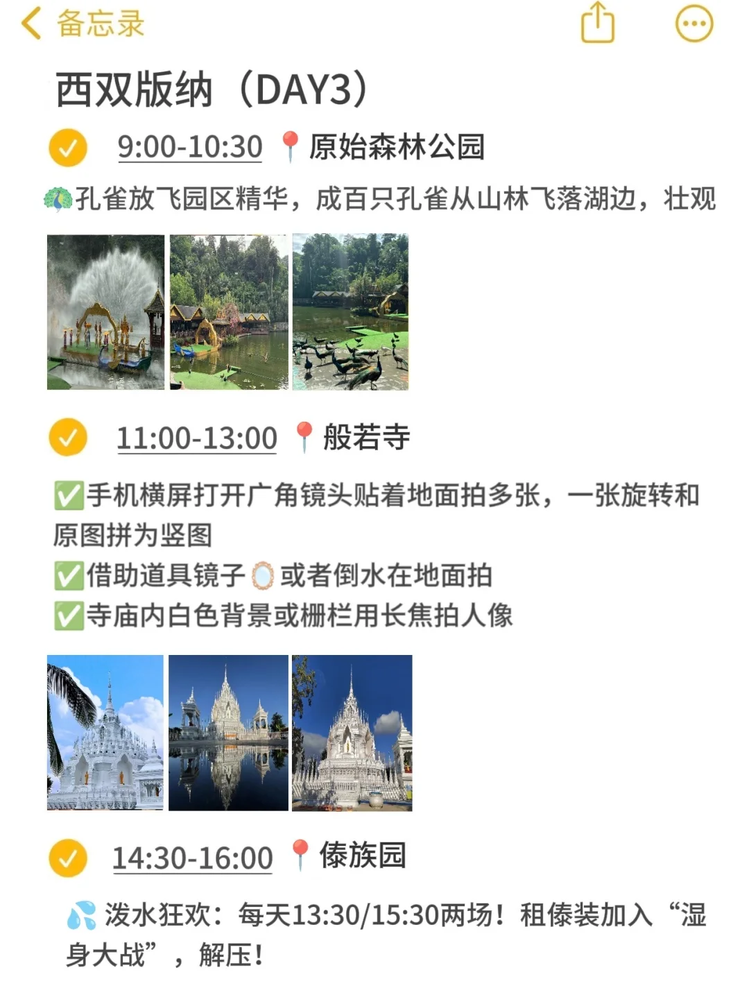 本地人带你玩西双版纳👀