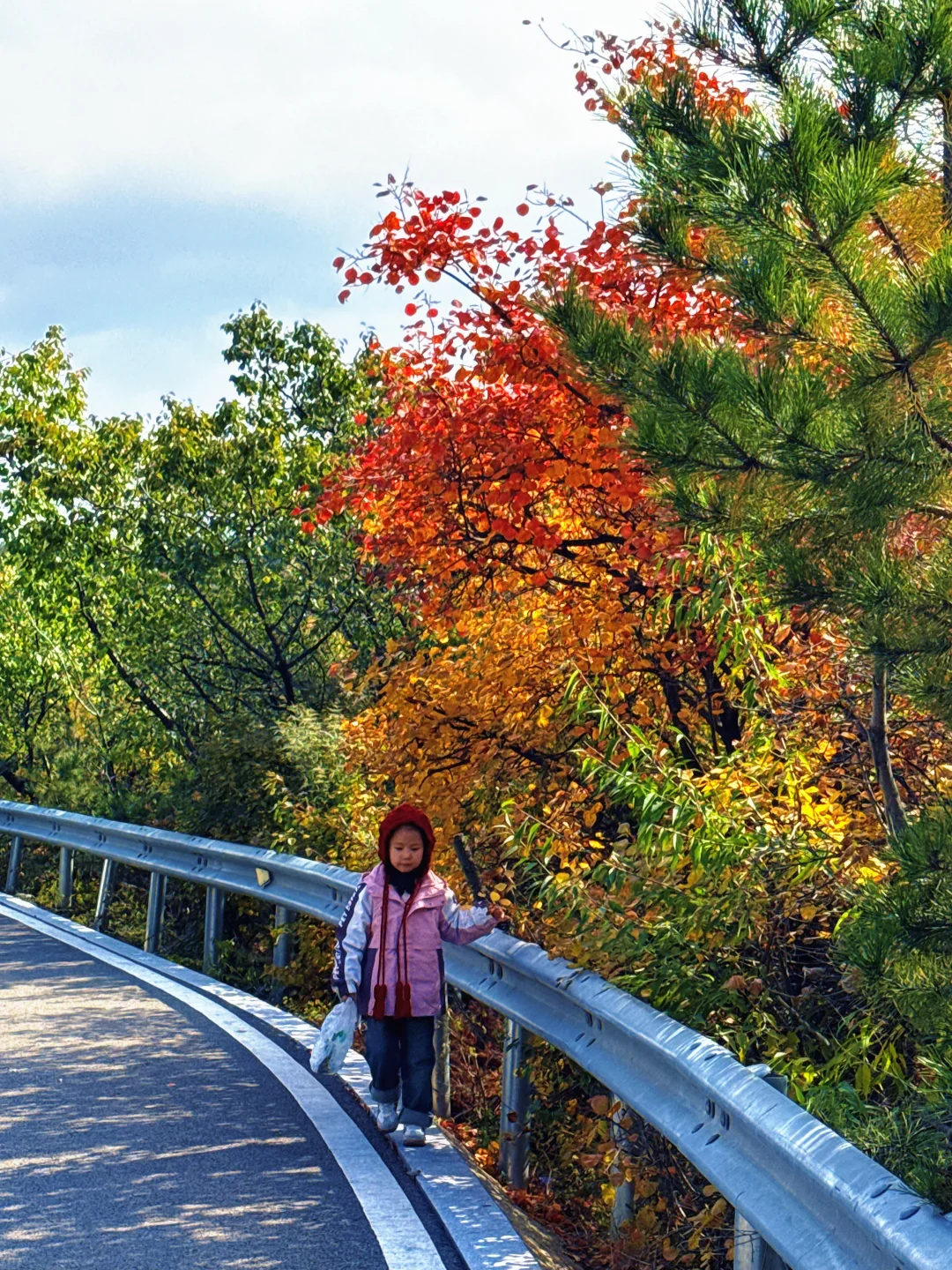 🍁太原龙山|10.25实时美景攻略,层林尽染