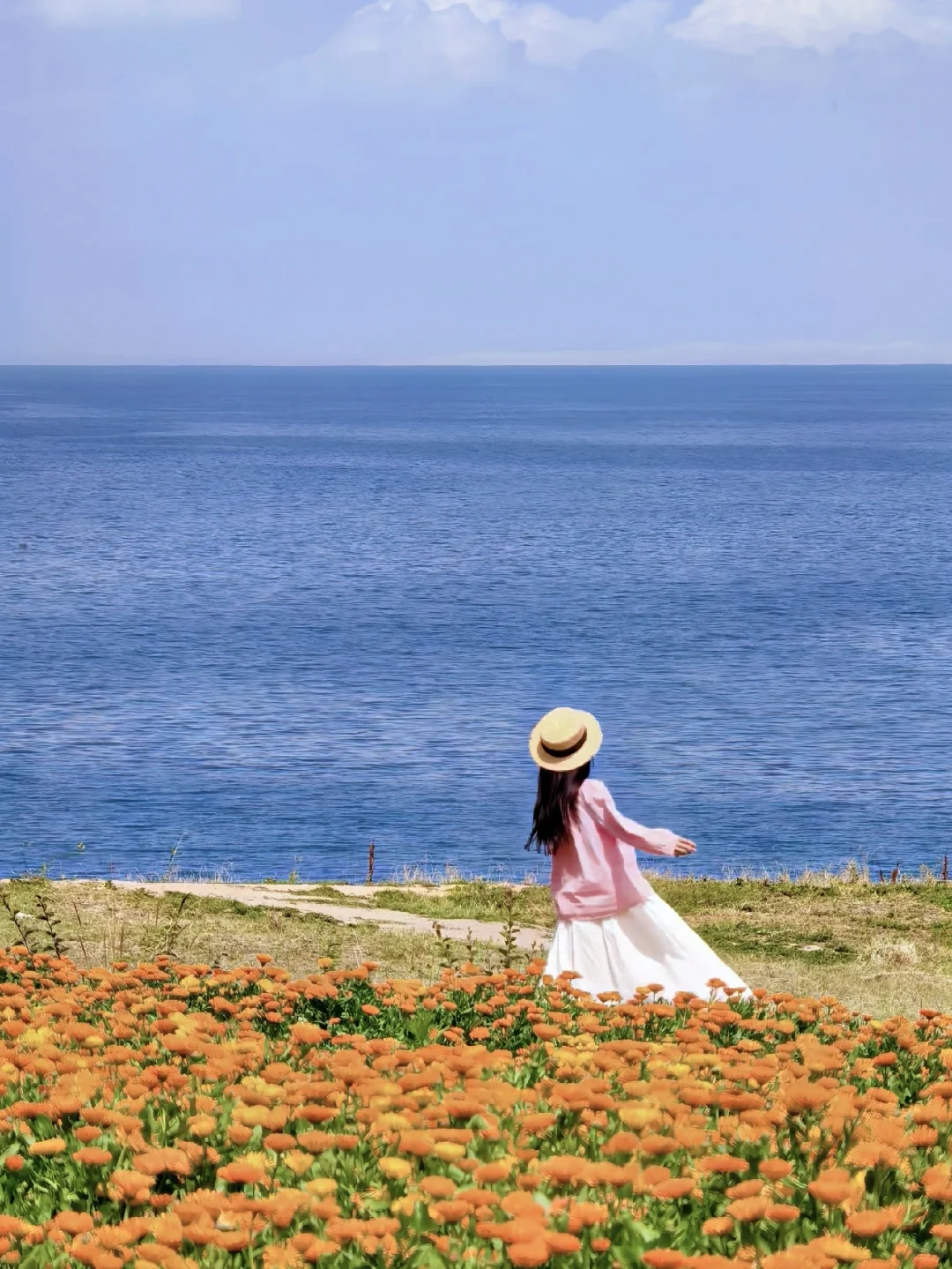 live图直出!青海湖九月花海封神现场!