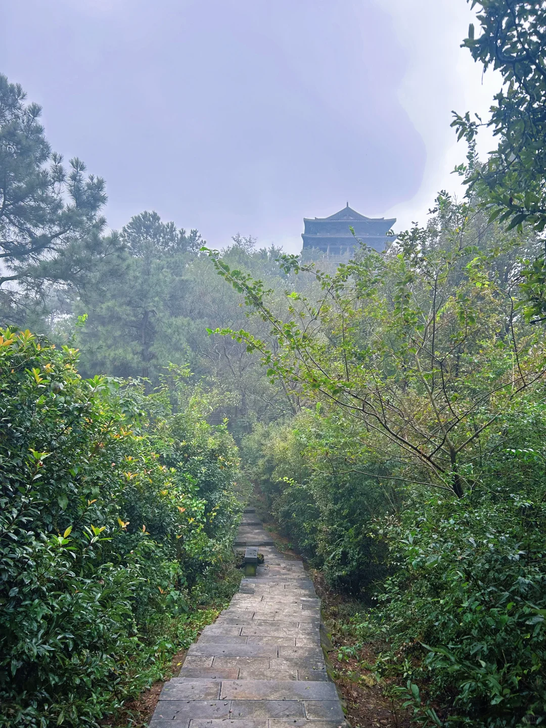 周末逃离江浙沪📍宣城市区两天一晚漫游指南
