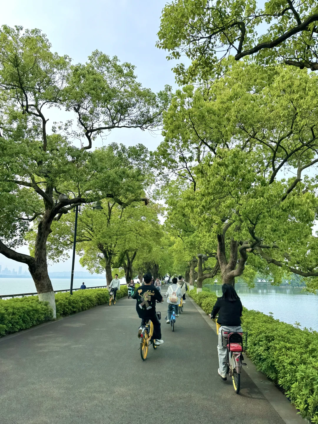 去了东湖N次,还是钟爱这3条徒步骑行路线♻️