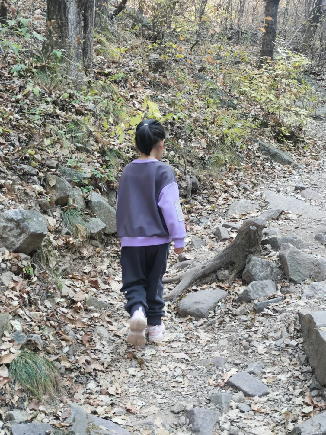 天然大氧吧~梨木台,亲子遛娃好去处