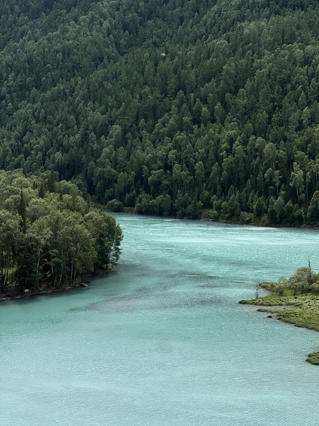 徒步|我的阿勒泰,神的喀纳斯
