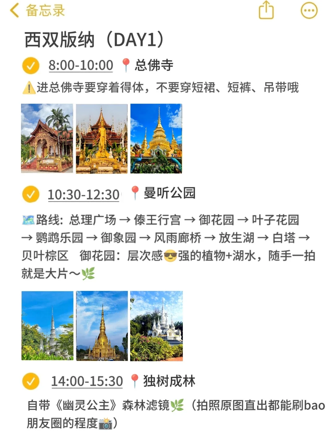 本地人带你玩西双版纳👀