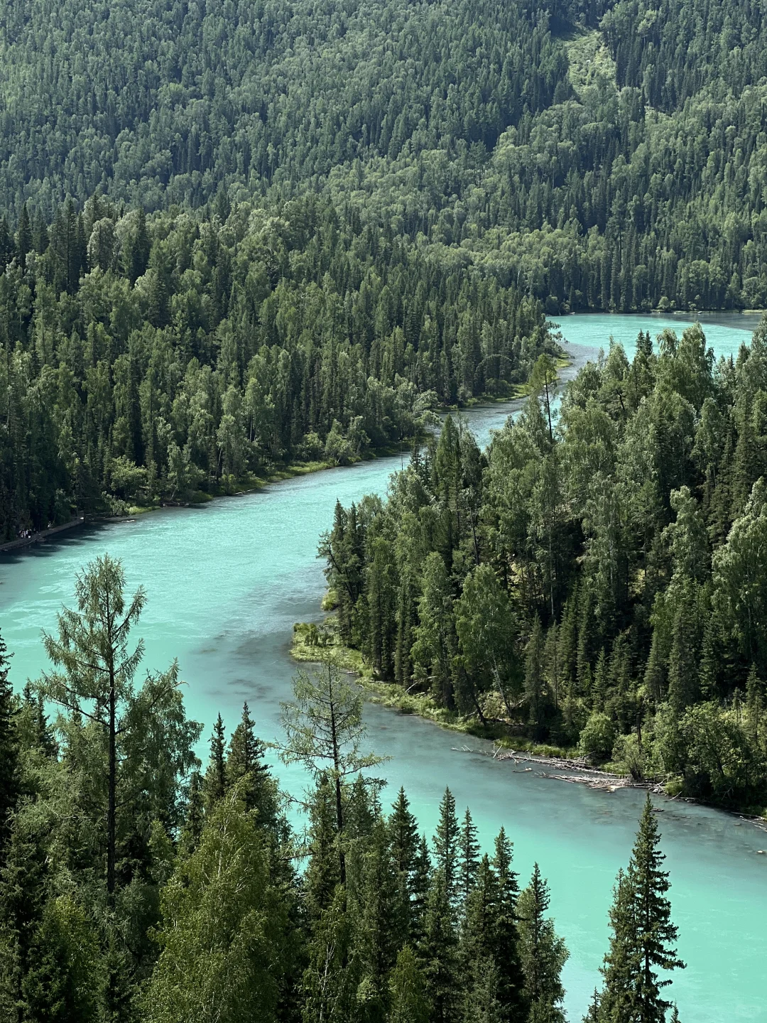 徒步|我的阿勒泰,神的喀纳斯