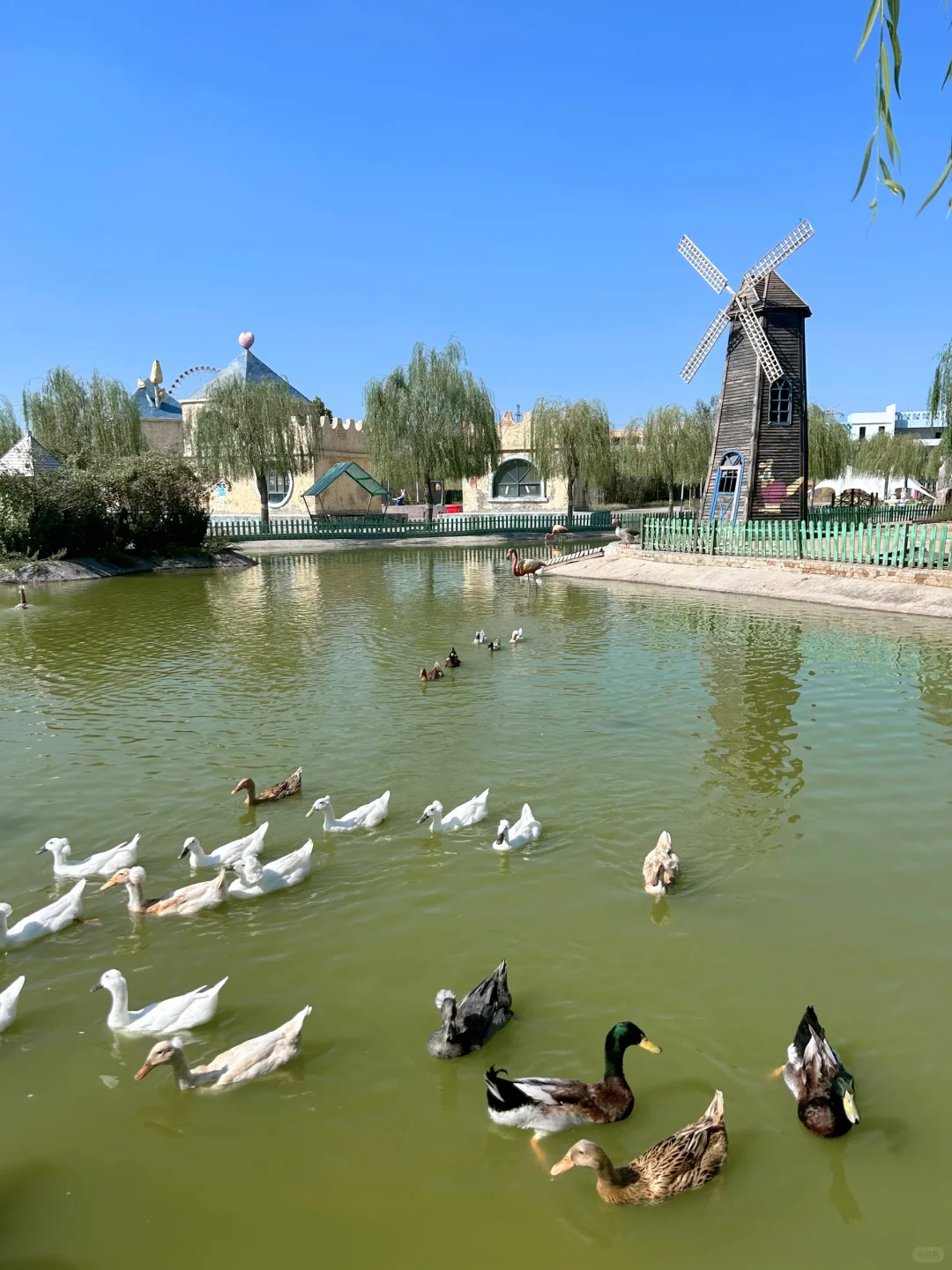 园博动物园最全游玩攻略