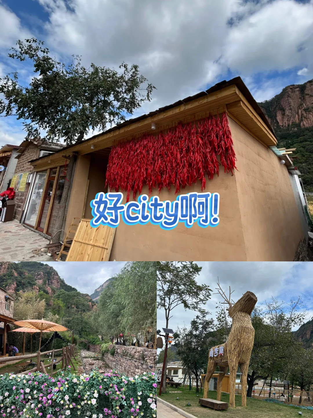 这是真的太好玩了,快去玩!