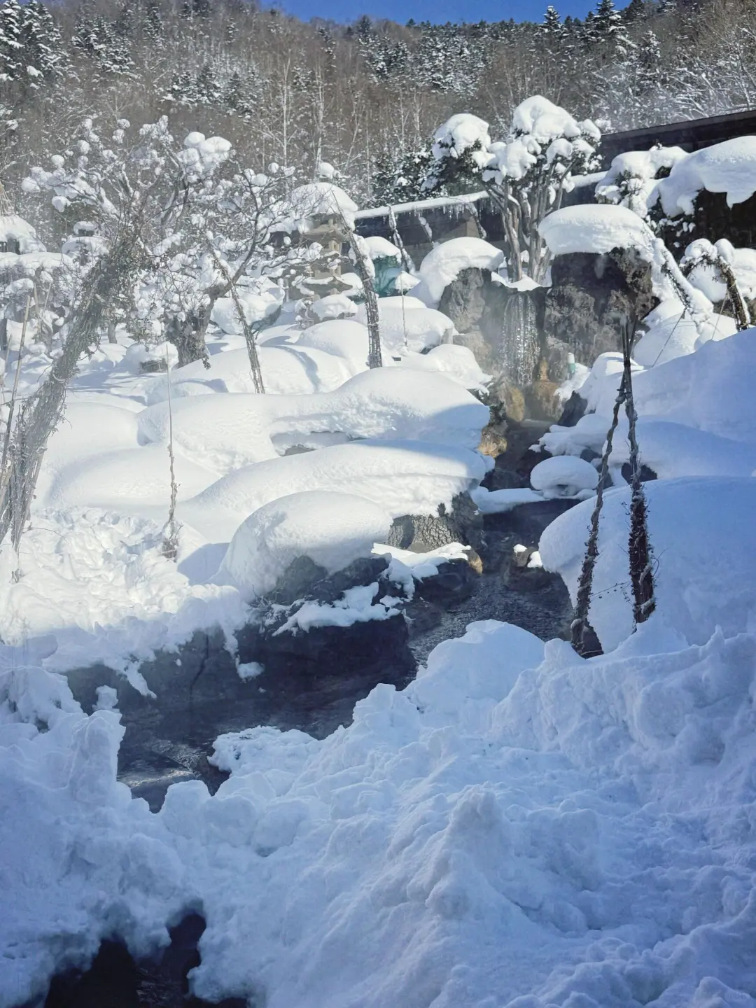 北海道冬季超全景点打卡攻略|冰雪童话必看