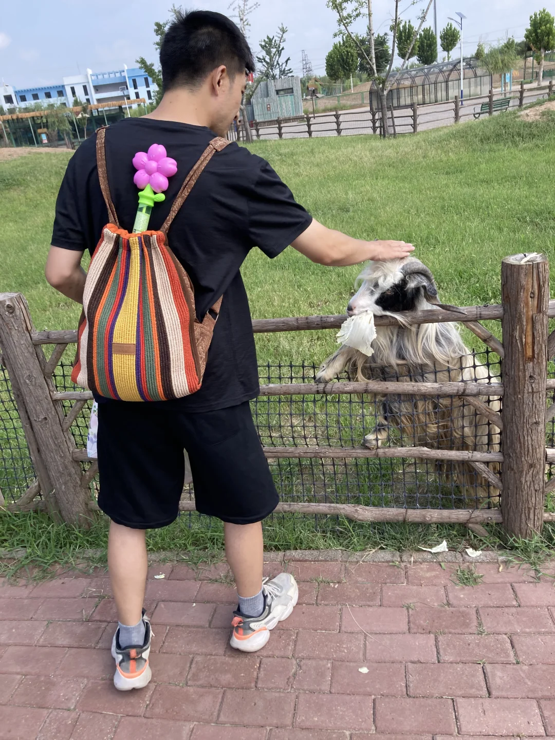 园博动物园最全游玩攻略