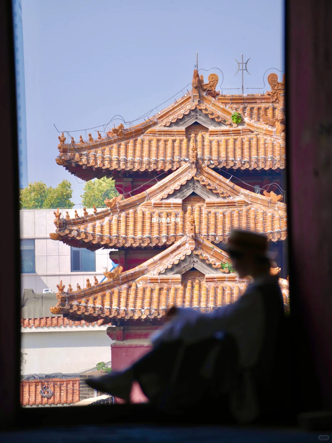 真的搞不懂为什么泰安 只有泰山火