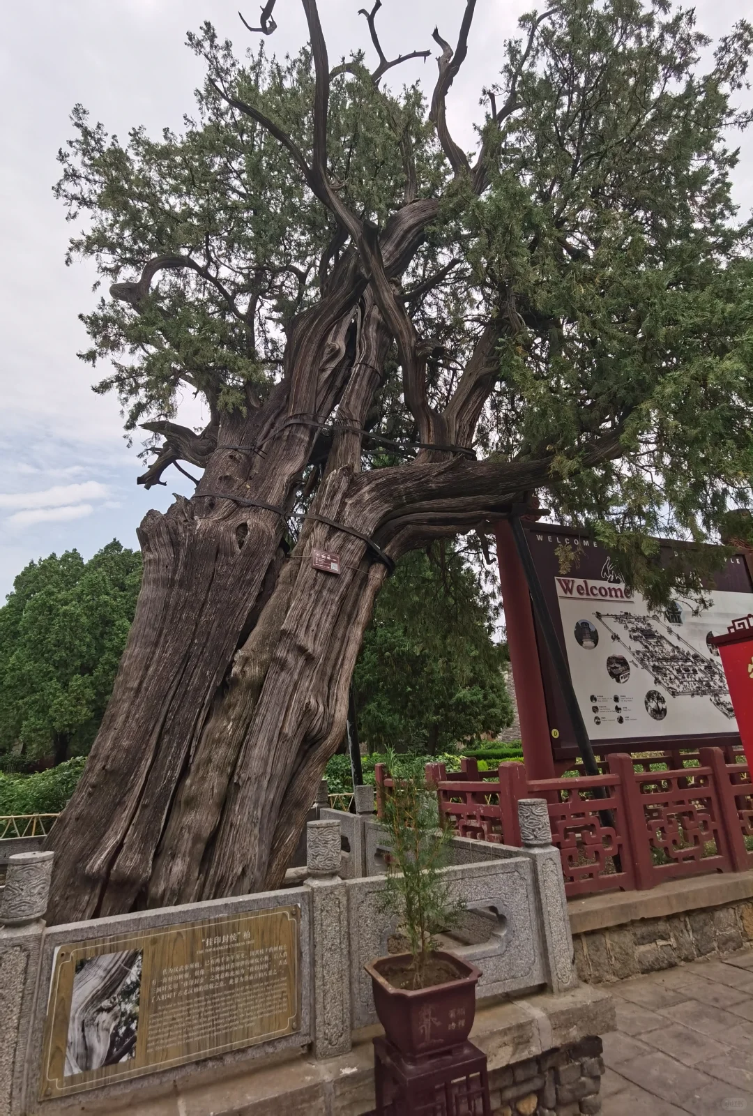 先别急着爬泰山,这儿去了吗?