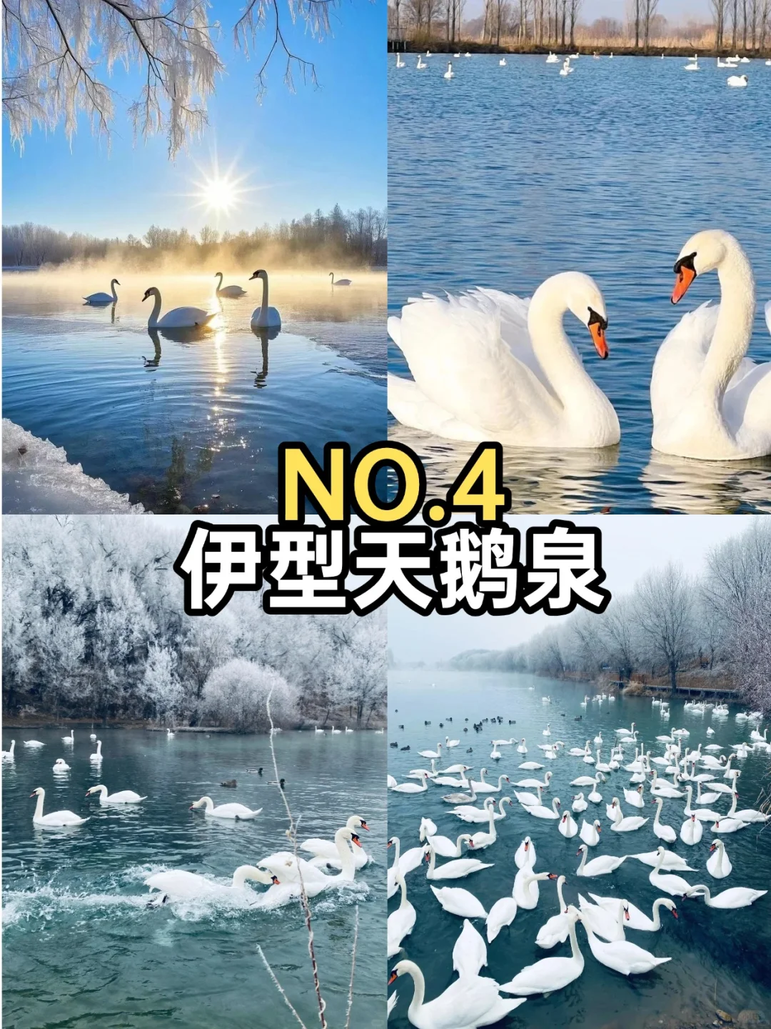 12-2月新疆必去九大景点❗❗❗旅游前必看❗