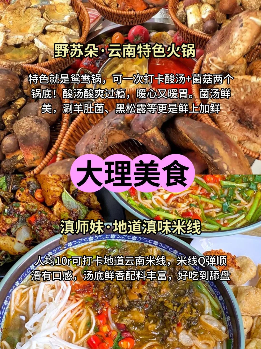大理旅游刚回...💔能救一个是一个(不会删