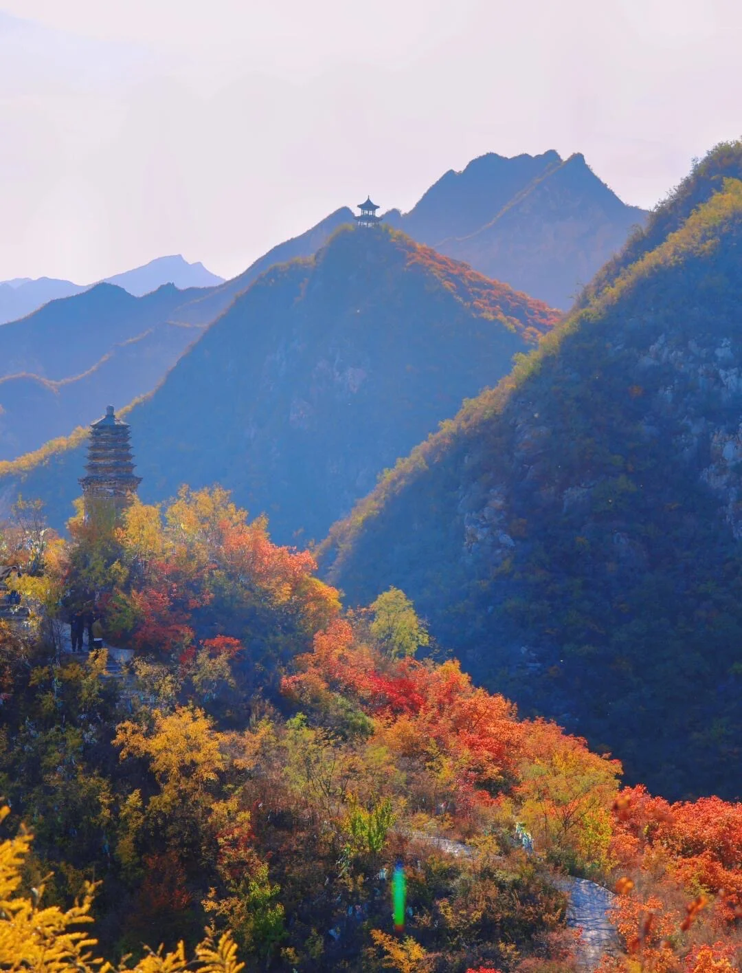 10.19北京🍁已达顶流7️⃣个遛娃赏秋地可冲啦