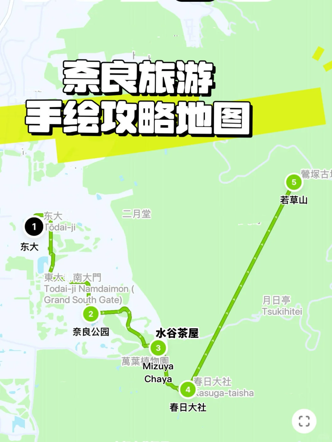 京都赏红叶攻略看这篇就够了‼️附旅行险攻略