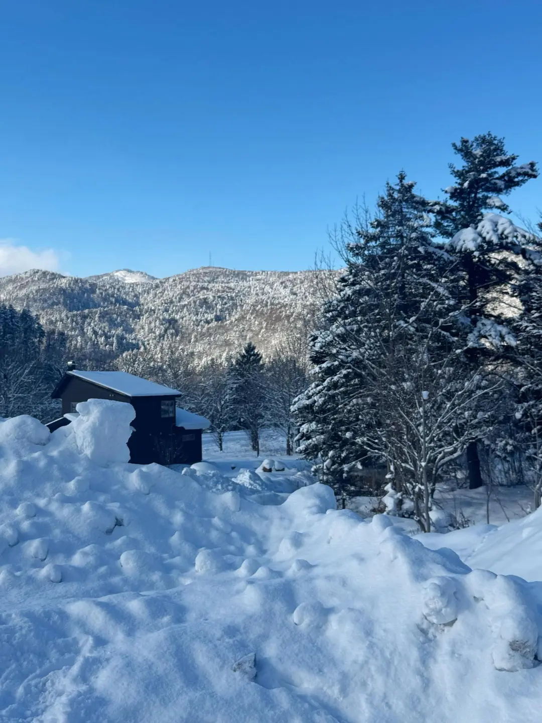 北海道冬季超全景点打卡攻略|冰雪童话必看