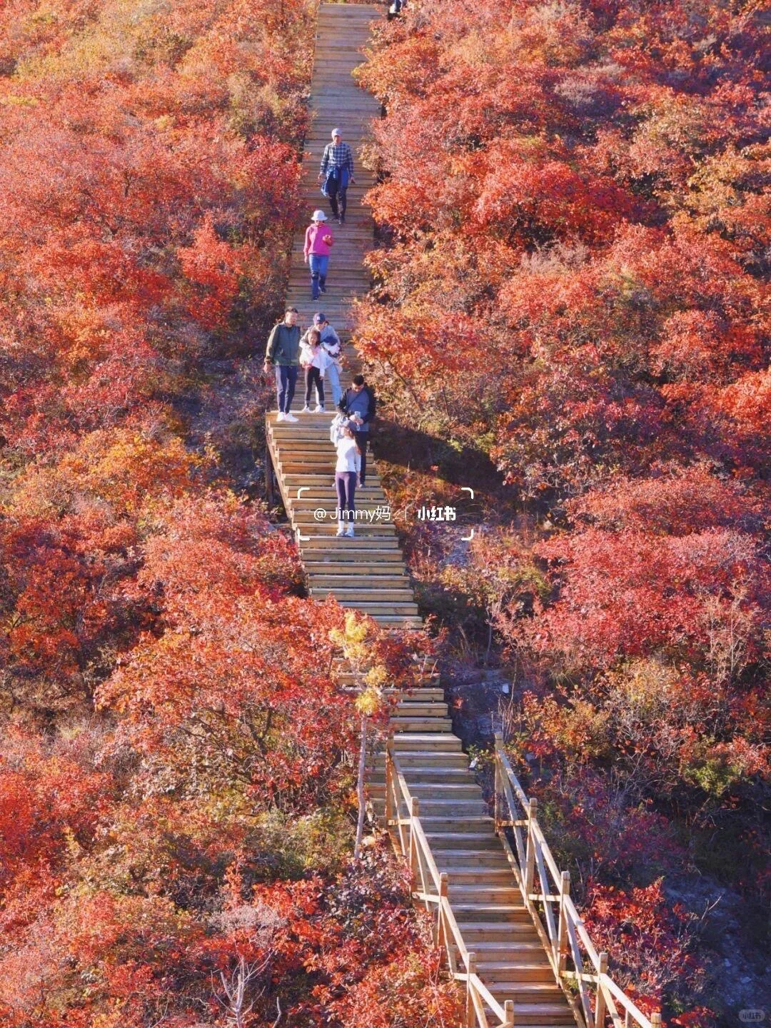 10.19北京🍁已达顶流7️⃣个遛娃赏秋地可冲啦