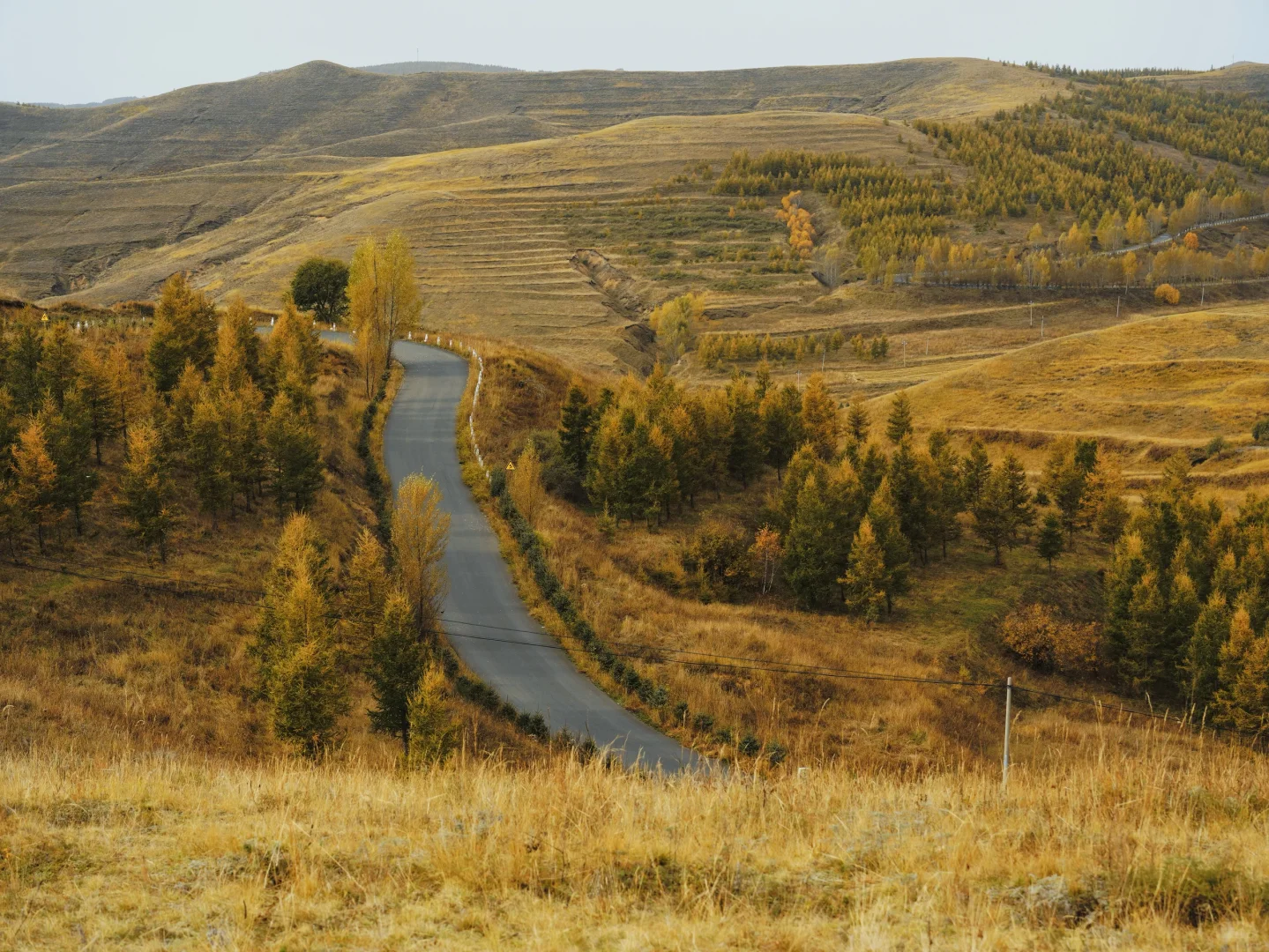 10.5 红石崖+九龙湾 不堵车赏秋🍂