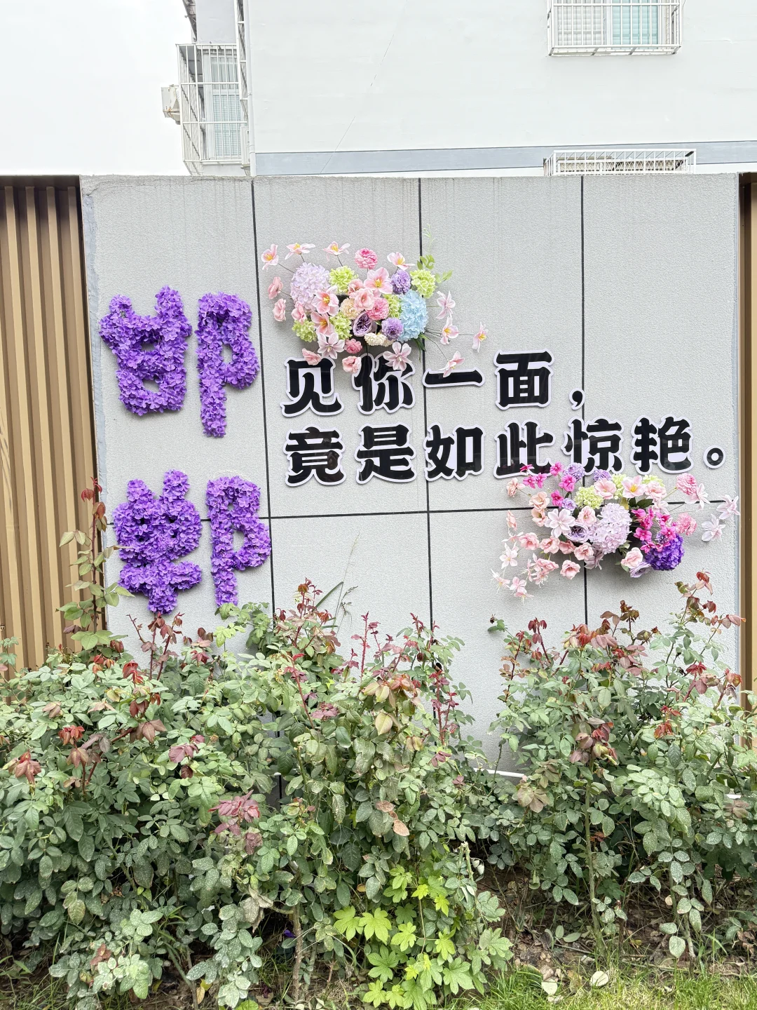 丛台公园（秦始皇出生地、武王丛台）2025.10.2
