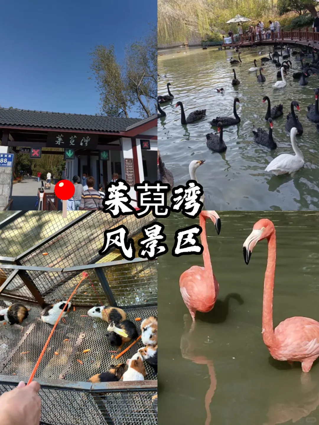 扬州九大景点必打卡❗