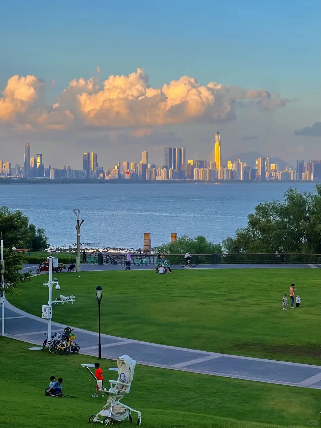 深圳必玩景点-福田红树林景区!