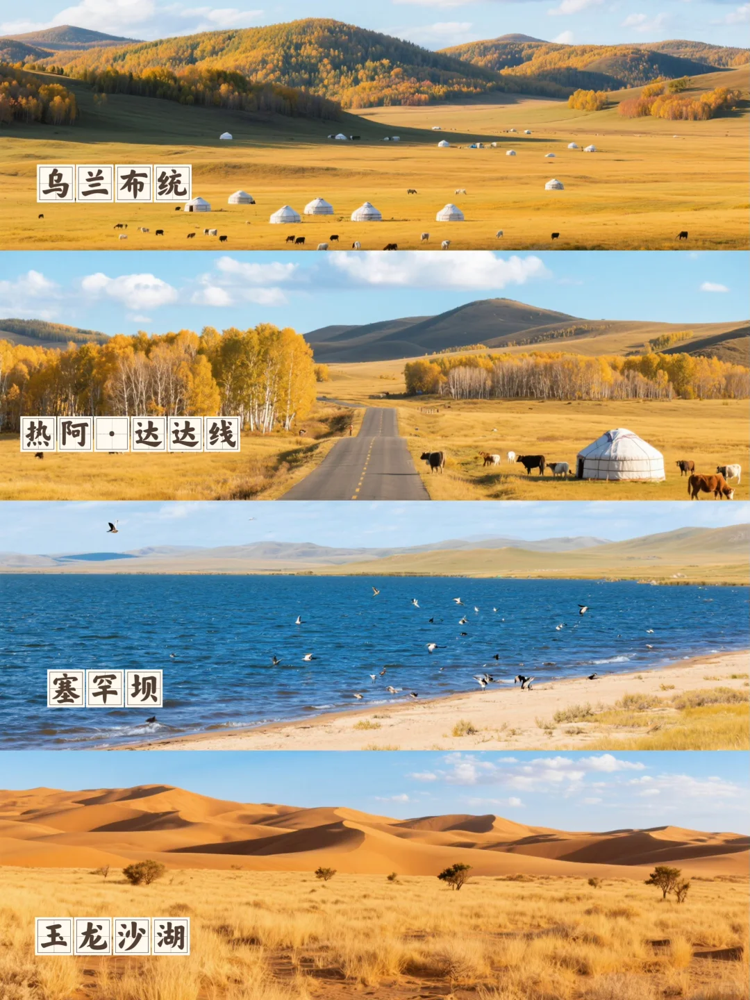 乌兰布统封神级秋景自驾路线🍂金色草原+沙