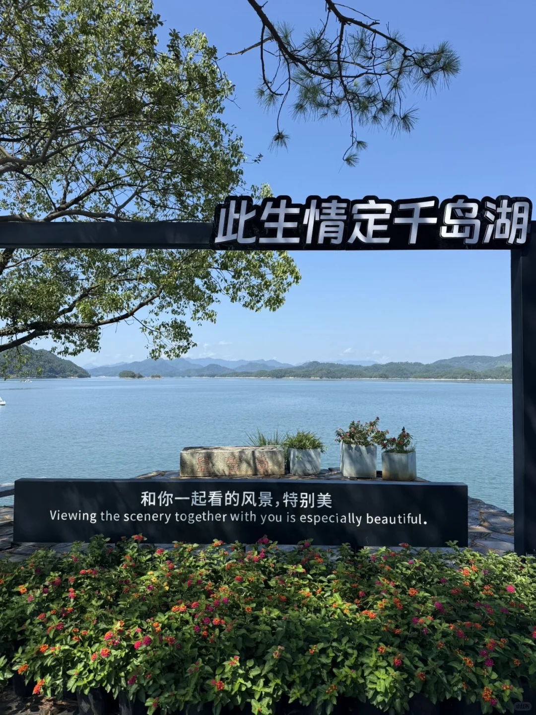 真的不在瑞士🇨🇭!在杭州千岛湖!!!!!