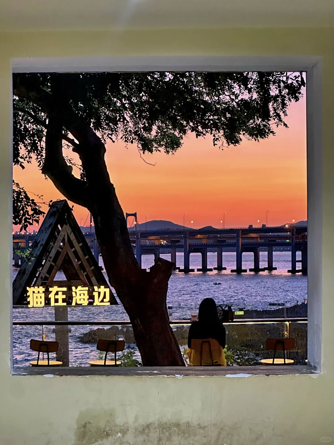 为了这❶❽张人生照片,我特意飞了趟大连🛳️…
