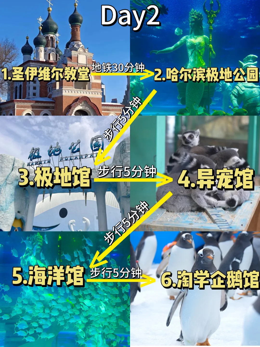 人均1000💰哈尔滨3天2夜!吃住行旅游攻略!