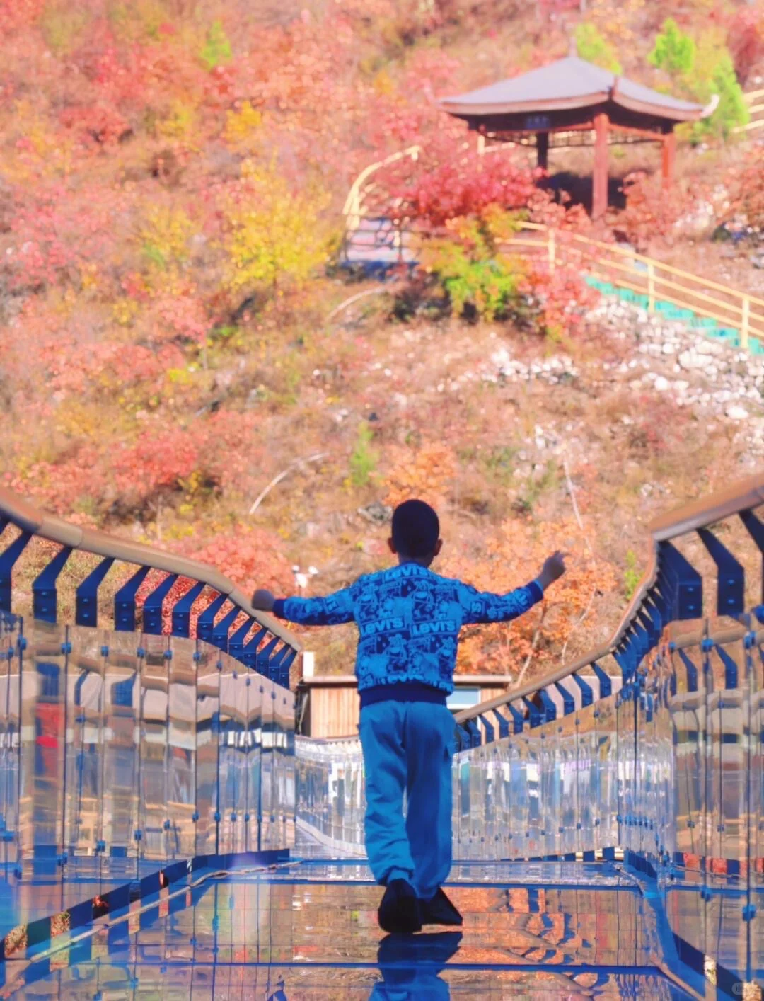 10.19北京🍁已达顶流7️⃣个遛娃赏秋地可冲啦