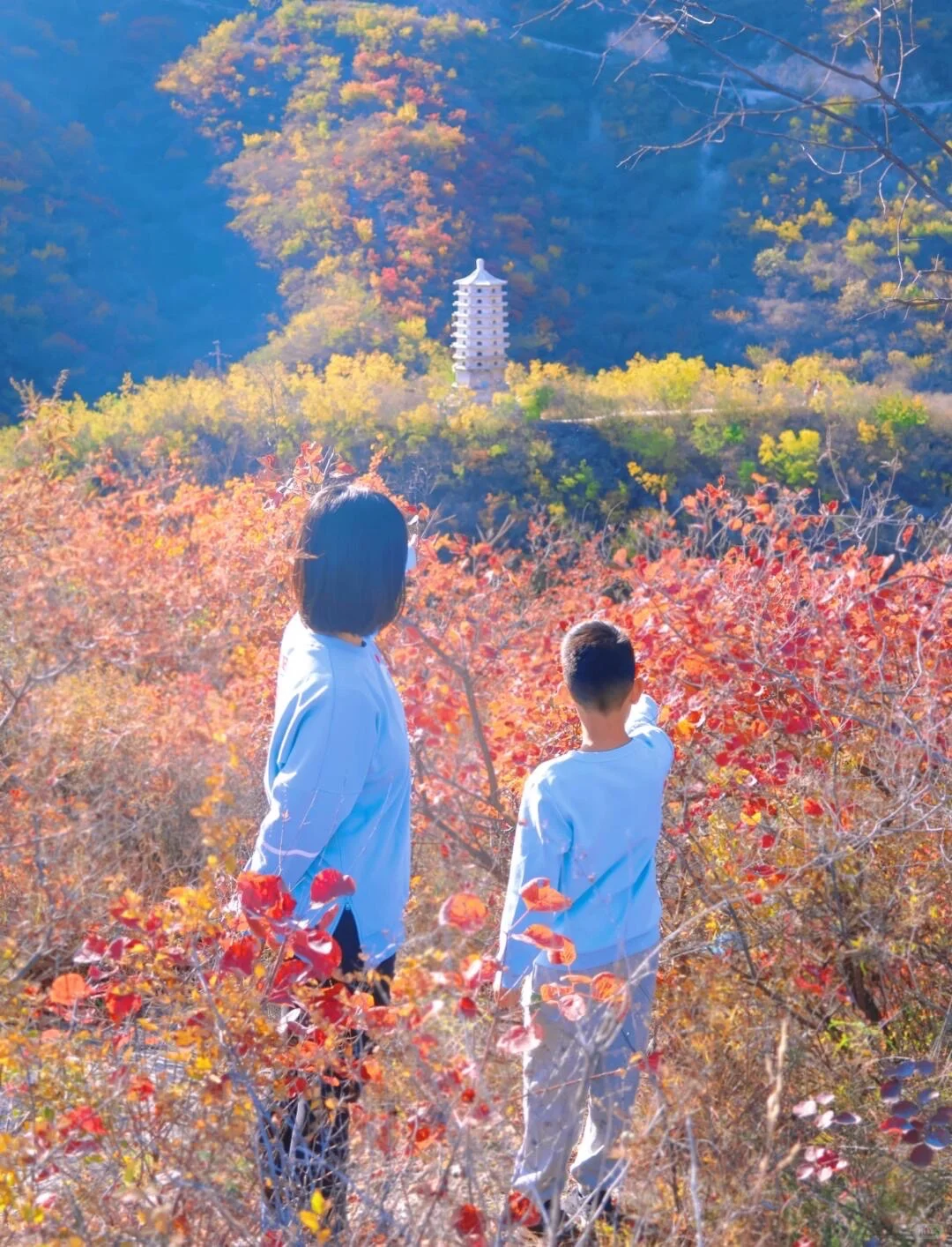 10.19北京🍁已达顶流7️⃣个遛娃赏秋地可冲啦