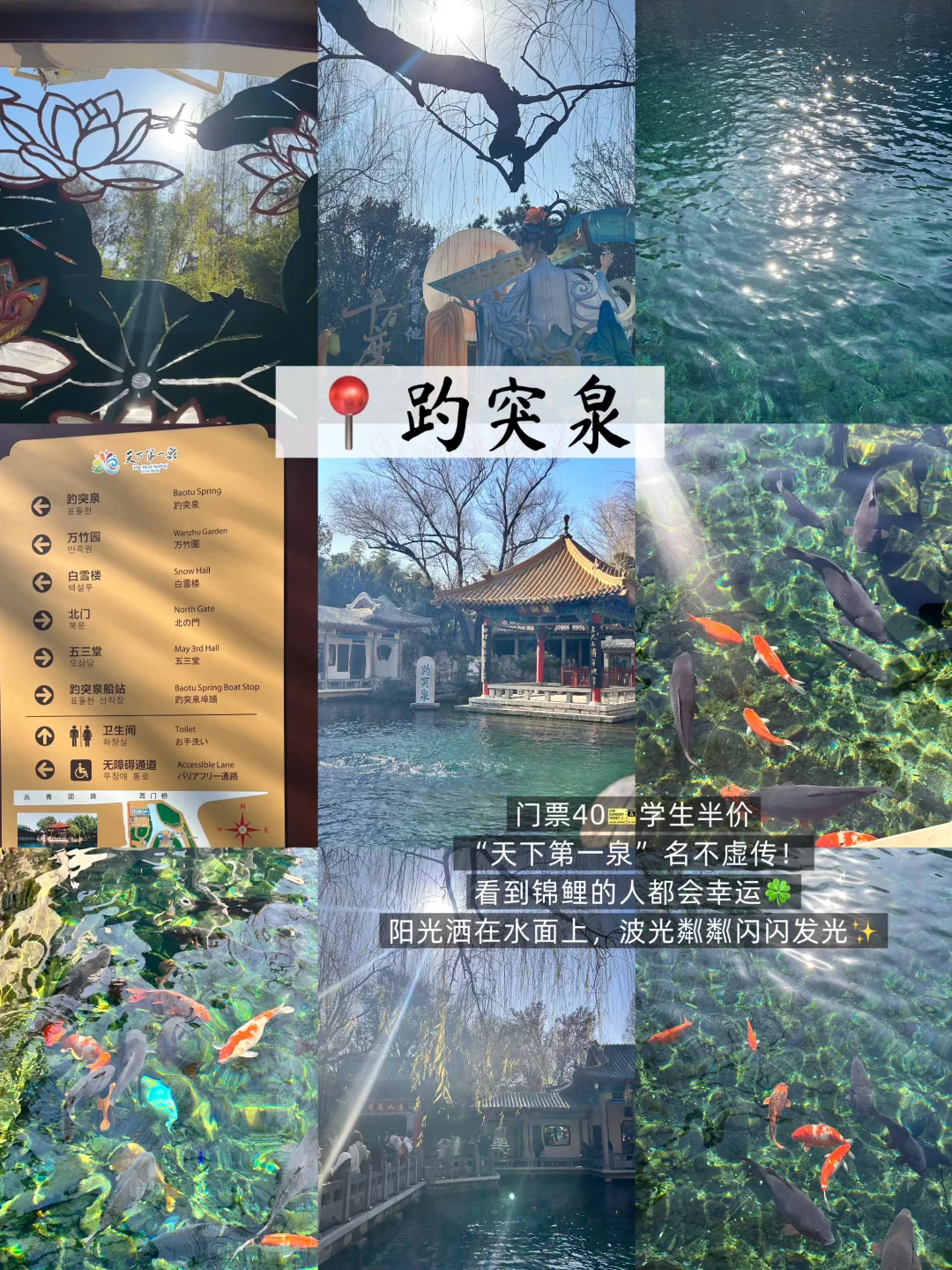 济南旅游攻略 | 逛景点💒品美食嗨玩泉城🌊