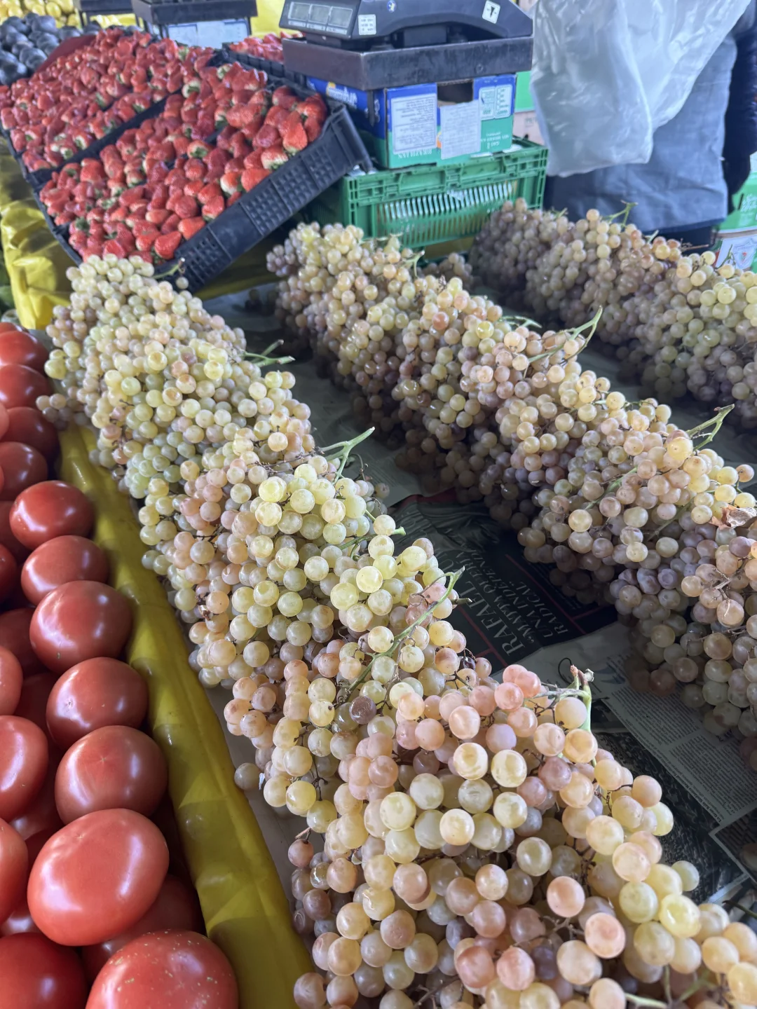 🇨🇱智利东区别再去超市买菜和水果了❗来这